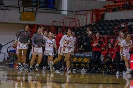 Image result for Elmbridge Girls Basketball Club