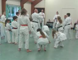 Image result for Redhill Karate Association