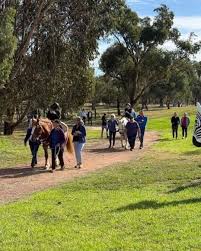 Image result for Buchan Group Riding For The Disabled