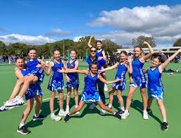 Image result for Wombles Netball Club