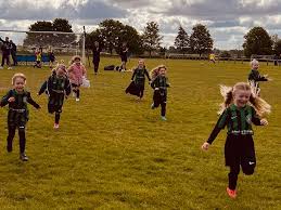 Image result for Hinckley Rugby Football Club