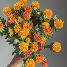 Image result for Carthamus tinctorius