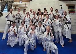 Image result for Chikara Dojo Of Kyokushin Karate