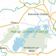 Image result for Squalius cephalus cavedanus