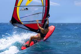 Image result for Aloha Sailboards