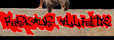 Image result for Parkour Alliance