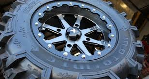 Картинки по запросу белку зажевало в диск