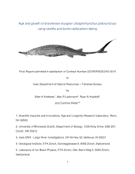 Image result for Scaphirhynchus platorynchus