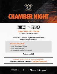 Image result for Irvine Flyers Club