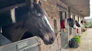 Image result for Cranleigh School Stables