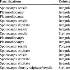 Attēlu rezultāti vaicājumam “Diderma ochraceum sessile”