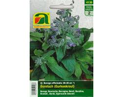 Image result for Borretsch