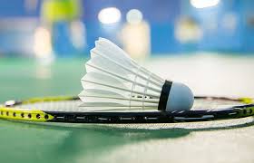 Image result for Shuttles (Brentford) Badminton Club