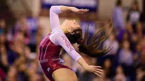 Image result for Abbey Gymnastics Club