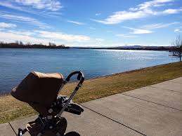 Image result for Bugaboo Cameleon Jon Stewart