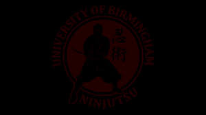 Image result for Manchester University Ninjutsu Society