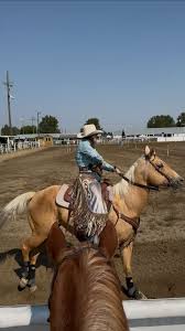 Image result for horse girl gun