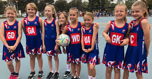 Image result for pulborough netball club