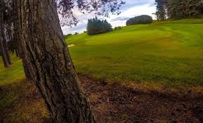 Image result for Carnwath Golf Club