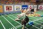 Choose your game: Super Bowl or PUPPY BOWL? | Tails of Seattle.