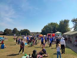 Image result for Dorchester Cricket Club