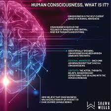 Image result for consciousness