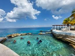 Resultado de imagen para cozumel dive