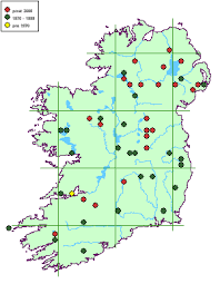 Attēlu rezultāti vaicājumam “Pertusaria coccodes”
