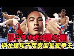 Image result for Enfield T'ai Tsung Chinese Boxing