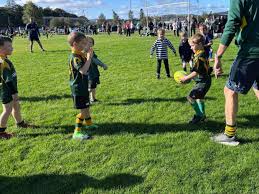 Image result for Helensburgh Cricket and Rugby Football Club