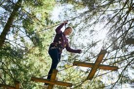 Image result for Go Ape! Leeds Castle