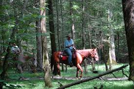 Image result for Old Park Riding Stables