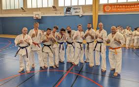 Image result for Ryuko Dojo