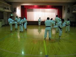 Image result for Imperial College Shorinji Kempo Society
