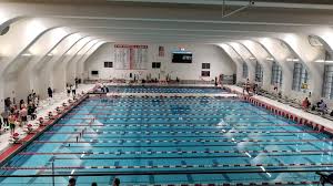 Image result for Kingsbury Aquarius Swimming Club
