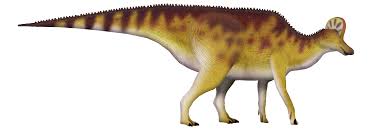 Bildergebnis für corythosaurus