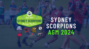 Image result for South Shore Cricket & Squash Club(Inc Scorpions Amateur Rugby League Club)