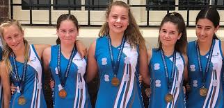 Image result for Fetcham Netball Club