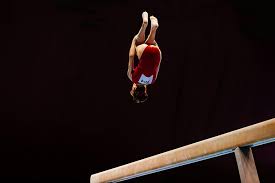 Image result for Focus Institute of Gymnastics
