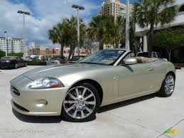 Image result for Winter Gold Pearl 2007 Jaguar