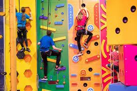 Image result for Octopushy (Croydon Area)