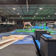 Image result for Swallows Trampoline Club