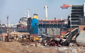 Image result for alang