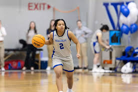 Image result for Barrow Basketball Club