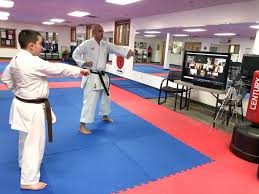 Image result for Guerrero Martial Arts