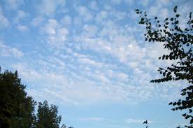 Attēlu rezultāti vaicājumam “altocumulus”