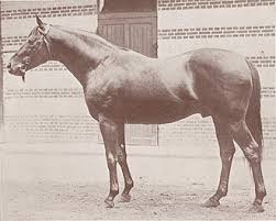 Image result for テディ