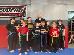 Image result for America's Best Karate