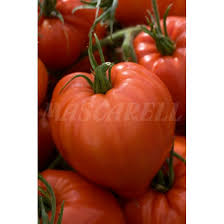 Afbeeldingsresultaat voor butter and bull heart tomato