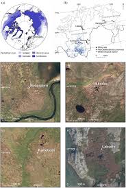 Attēlu rezultāti vaicājumam “Pseudobryum cinclidioides cells”